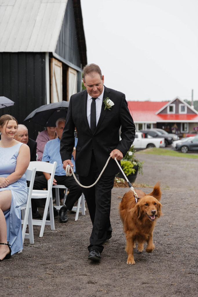 dog being the ring bearer at Homestead 1880 in Ottawa, ON.